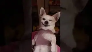 Как она научилась так улыбаться?