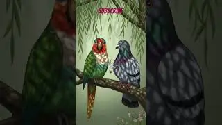 Birds love the story #love#best#youtube shorts feed #viral#trending shorts#cute#sad status ❤️🙏✅💕