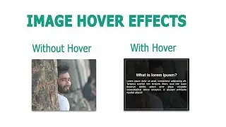 How to Create Image Hover Overlay Effects Using html and css || css Image Hover Effects