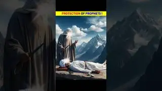 Protection Of Prophets ! | The one Speaks #shorts #history #islamic #shortsfeed