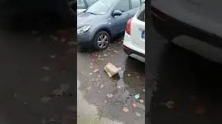 LO STATO DI ABBANDONO DI PONTE TESTACCIO LUNGOTEVERE DEGLI ARTIGIANI