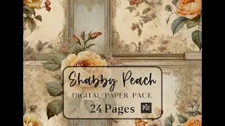 Shabby Peach Paper Pack