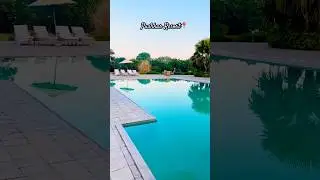 Pre wedding shoot location 📍 #resorts #pushkar #shoot #shorts #shootlocation #viralvideo
