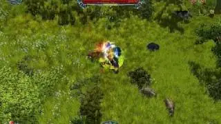 Brutal Pigfight