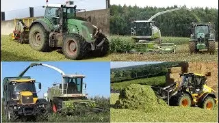Maize Harvest 2019 | The Best of Maize 2019