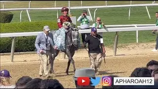 Star Mare, Caravel, continues to dominate against the boys in 2023 Jaipur Stakes