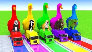 5 GIANT DUCKS and Friends Cross the Famous Fountain in EPIC Animation #022