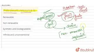 Petroleum resource is
