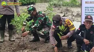 Penanaman Bibit Kayu Bakau Desa Puteri Sembilan, Kecamatan Rupat Utara.