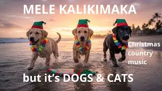 Christmas with Dogs and Cats │ Mele Kalikimaka Texas Style (Country Version 2025)