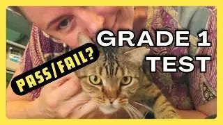 My Cat's Grade 1 Test, No Retakes Allowed