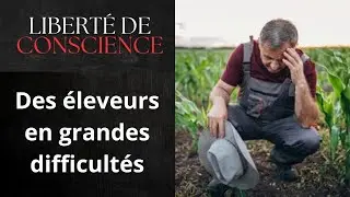 20/01 Les défis qui nous attendent #agriculteurs #éleveurs #solidarité