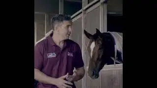 Billy Slater Maroons Team Talk