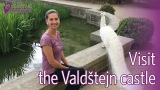 Visit Vald&scaron;tejn castle in Bohemian Paradise, with private tour: Supreme Prague