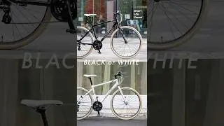 【LOUIS GARNEAU】｜ SETTER8.0 / BLACK or WHITE