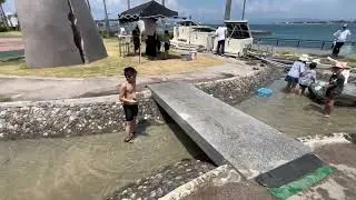 Summer in Japan | Fish catching & bbq |Arai Fishing park