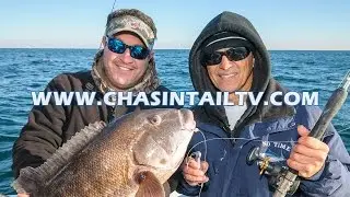 Late Fall Blackfish Fishing with Capt. Nick Savene | Chasin' Tail TV