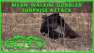 Vermont Spring Turkey Hunt / Beard Rot Gobbler