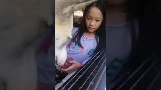 Feeding our dog some peas