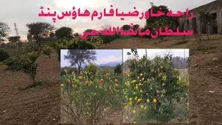 Raja khawar Zia farm house Masha allah g 