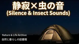【睡眠用・作業用】静かな夜の虫の声（Night Crickets  Sounds for Sleep）