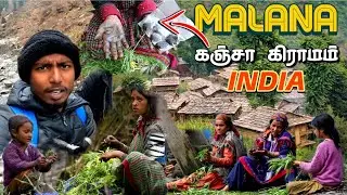 Malana ஹாஷ் Village ☘️ | World oldest democracy village Travel vlogs in tamil | Edison vlogs Tamil