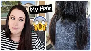 MY HAIR FELL OUT...NOW WHAT?