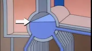 How Watertube Boilers Work