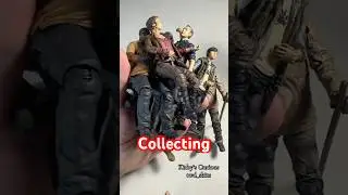 The Collection
