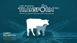 Dairy farmer defies complication to achieve a smooth transition