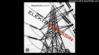 BiggaBush Presents Elektrassassin - Cymbolic
