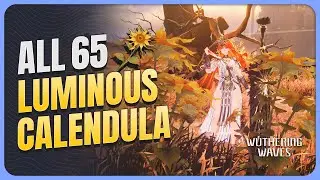 [With Map] All 65 Luminous Calendula in Sanguis Plateaus &mdash; Augusta Ascension | Wuthering Waves 2.6