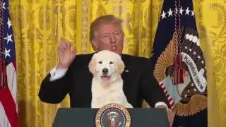 Donald J. Trump is the ultimate showman
