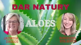 Aloes - Dar Natury - Jadwiga Drogos