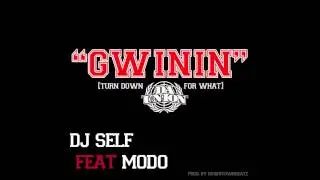 Gwinin - DJ Self Feat. Modo