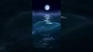 Relaxation under the moon