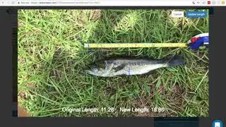 iCatch Admin Demo