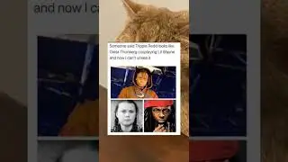 accurate af! #catwithmemes