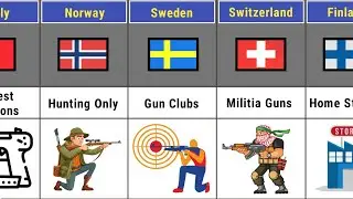 Gun Laws Around the World 😱 The Shocking Truth