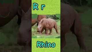 R is for Rabbit, Raccoon, Reindeer!| Learn Animals & Letter R #forkids #preschool