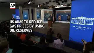 US aims to reduce gas prices by using oil reserves