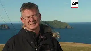 Icelandic islanders protect declining puffin population ++REPLAY++