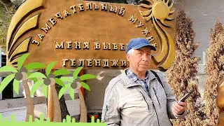 Замечательный мужик меня вывез в Геленджик. Где остановились?