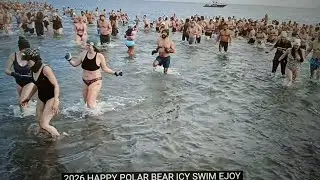 January 1, 2026 ,.. POLAR BEAR , swimming  ,. TORONTO CANADA 🇨🇦 Woodbine Beach ⛱️  ,.. HENjUS TV 📺 😀