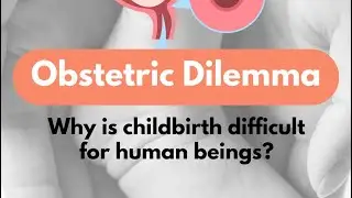 Obstetric Dilemma: Why Childbirth is Challenging for Humans | Postpartum care Tips for women