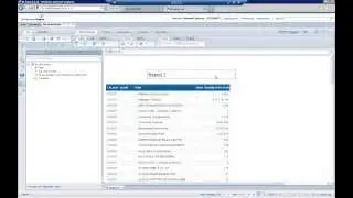 WEBI   Working with Multiple Queries with Jeremy Stierwalt