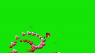 flowers falling animation green screen effect