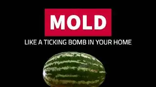 Home Enviro Inspection