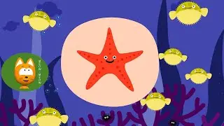Meow Meow Kitty - SHELL - Nursery Rhymes