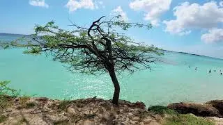 🌵 Skip the Crowds & Go to Mangel Halto Beach Instead 🌵